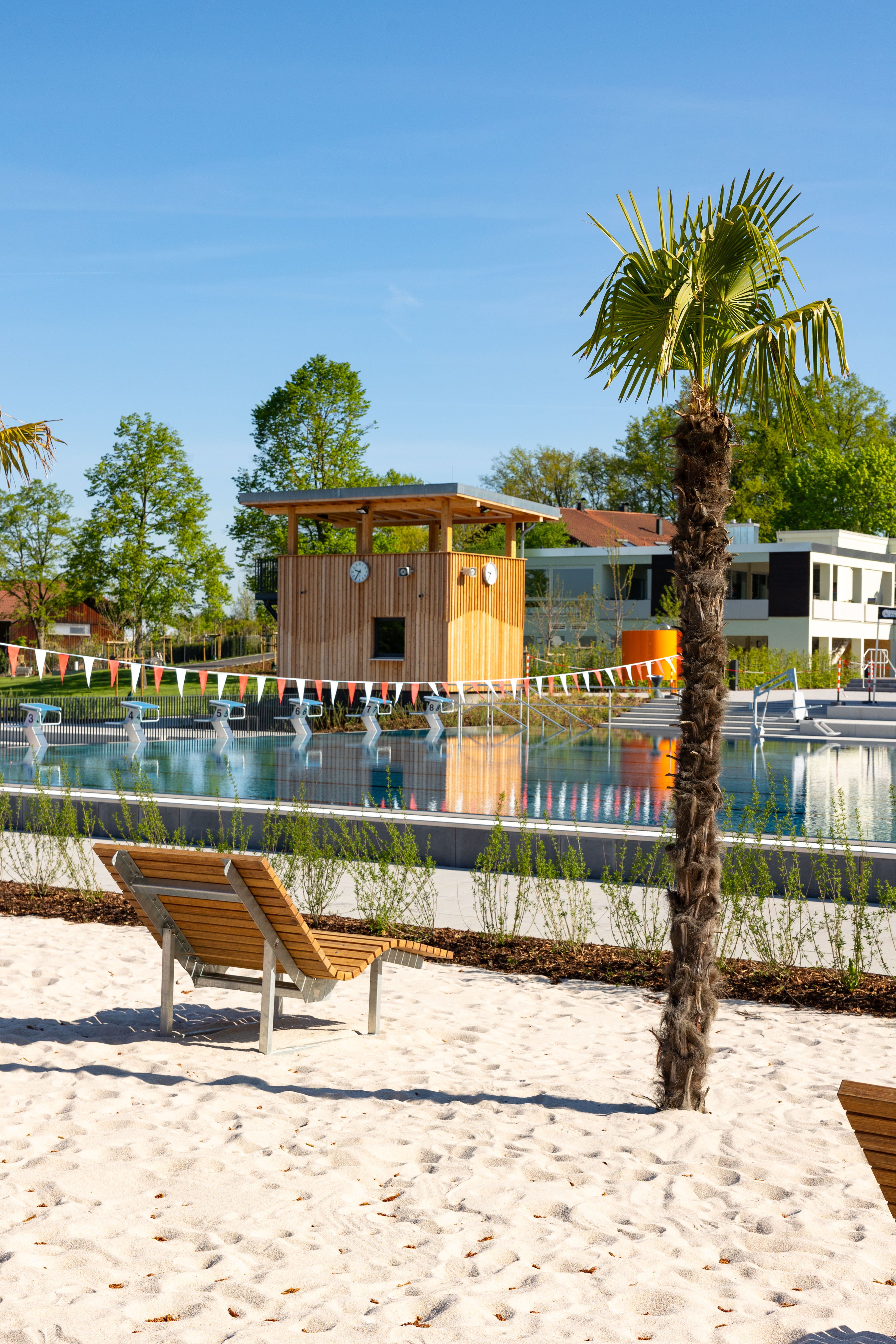 Sicht auf das Freibad mit Liegen und Palmen.