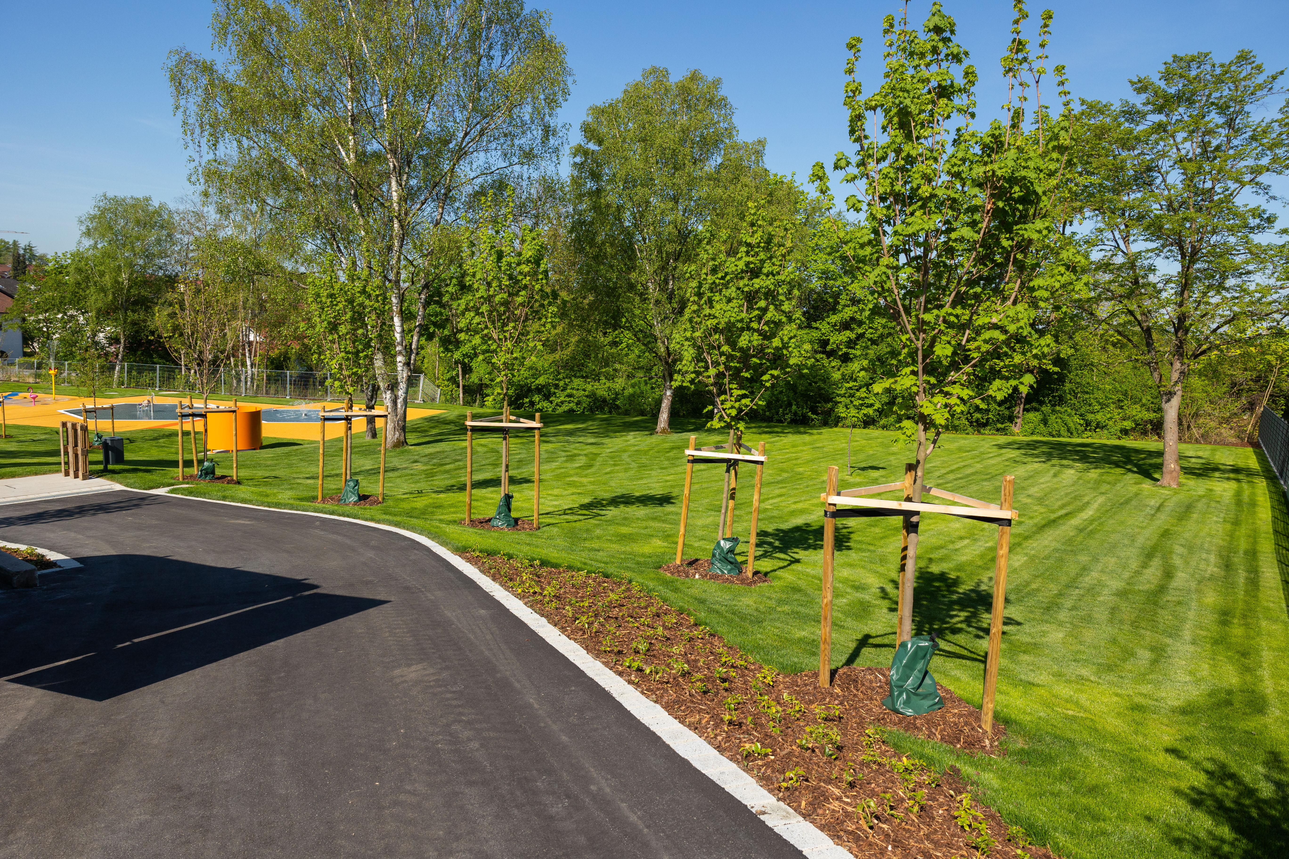 Grüne Wiese mit neuen Bäumen und Freibad im Hintergrund